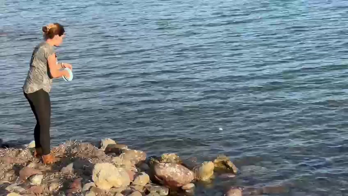 Havva balık aramakta