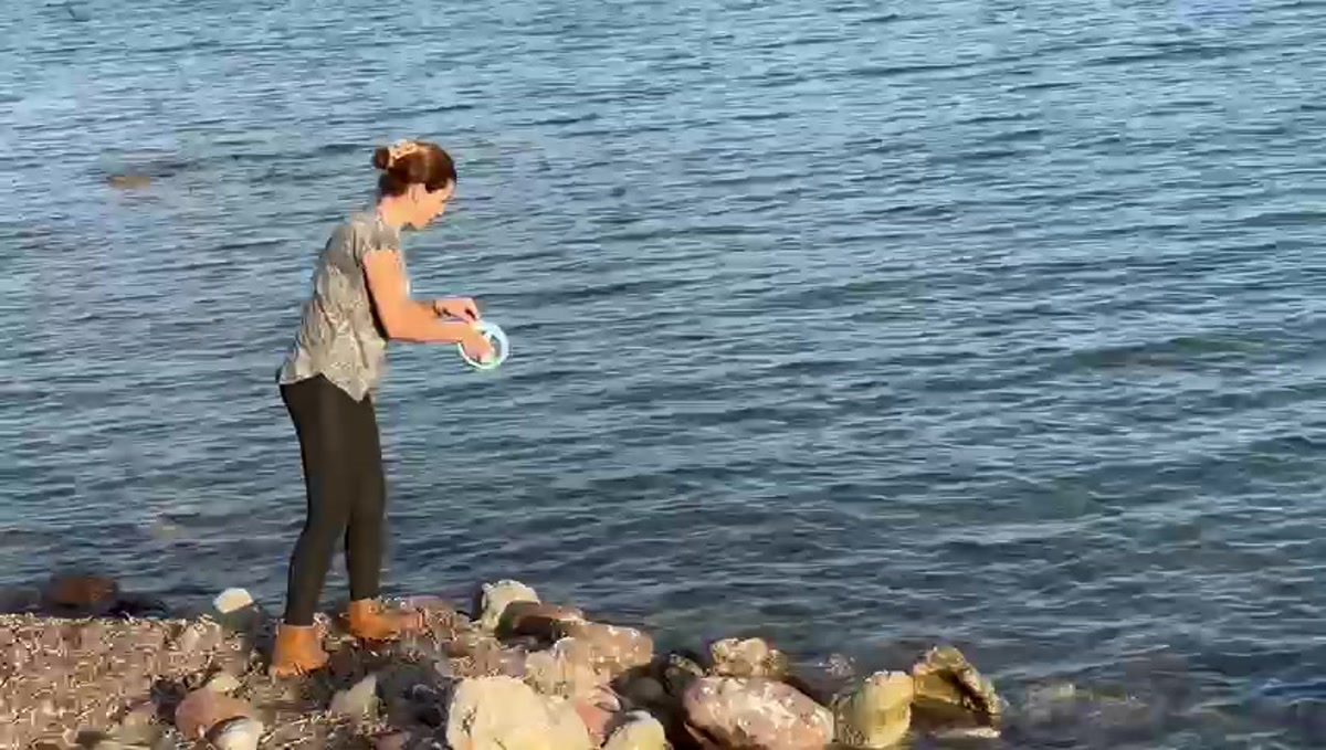 Havva düşünüyor
